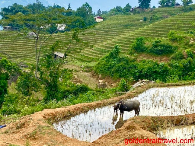Two Day Trek Sapa Mong Sen Ta Phin Village